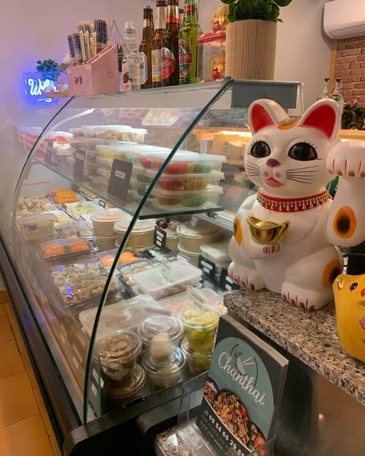 Le chat porte-bonheur au comptoir